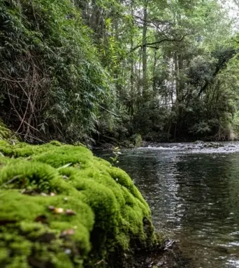 naturaleza